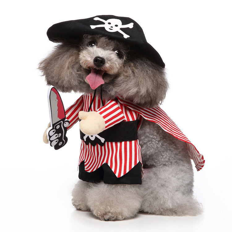 Lustige & süsse Hundekostüme – Perfekte Outfits für jeden Anlass