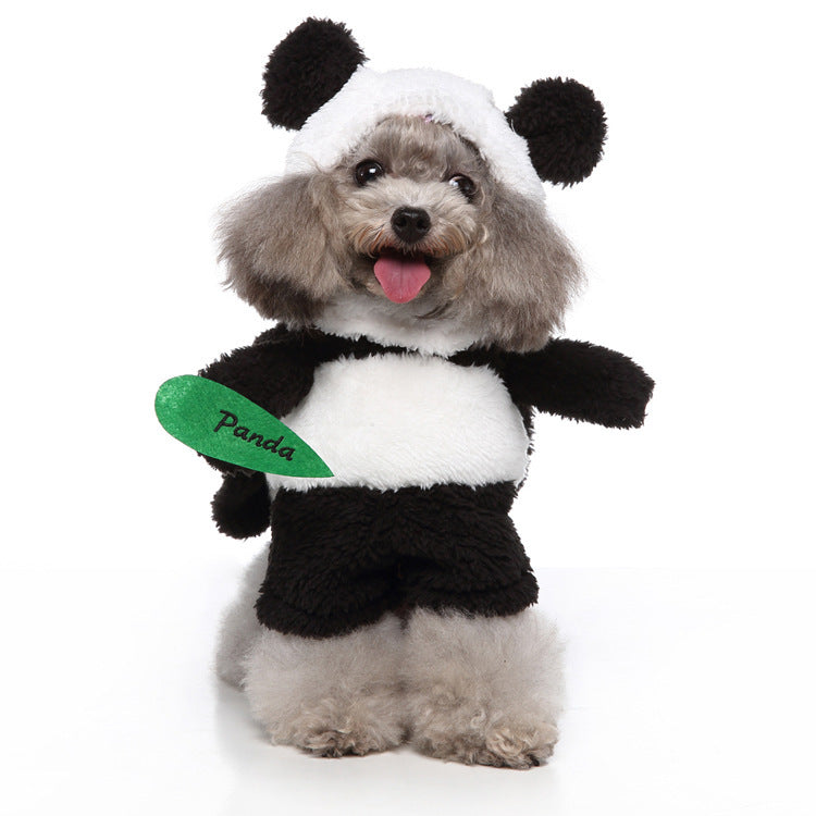 Lustige & süsse Hundekostüme – Perfekte Outfits für jeden Anlass
