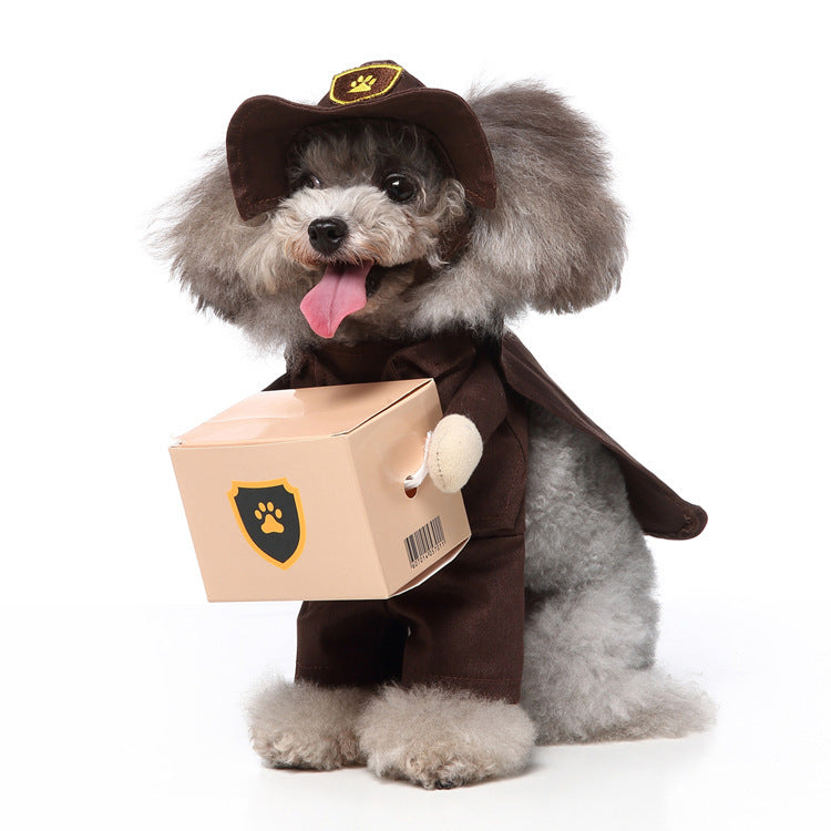 Lustige & süsse Hundekostüme – Perfekte Outfits für jeden Anlass
