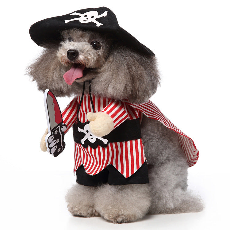 Lustige & süsse Hundekostüme – Perfekte Outfits für jeden Anlass