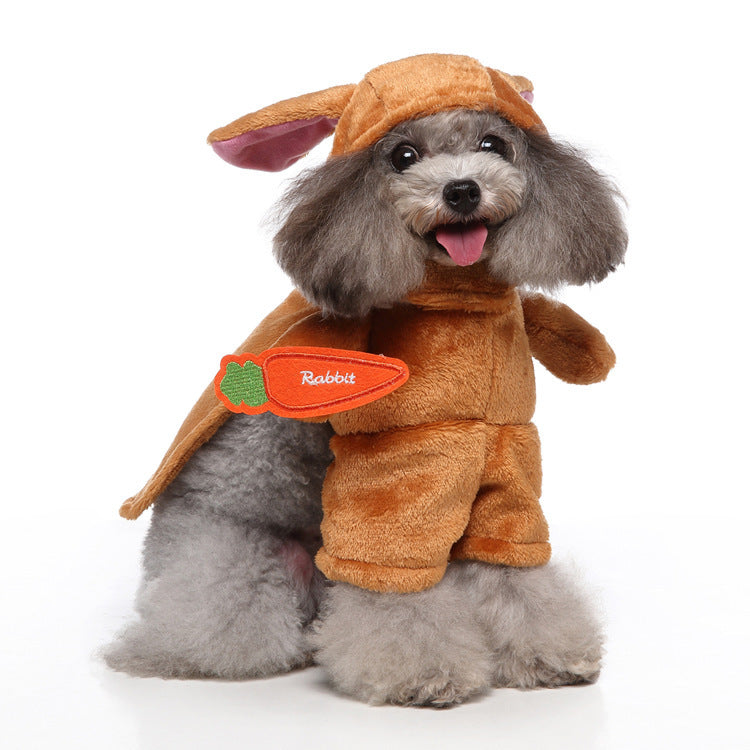 Lustige & süsse Hundekostüme – Perfekte Outfits für jeden Anlass
